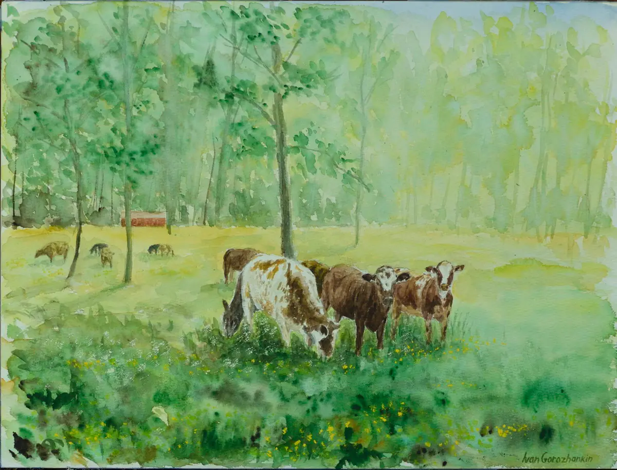 Betande kor i värmländsk skogsglänta - Akvarelli - Impressionism - 41×31 cm taiteilija Ivan Gorozhankin